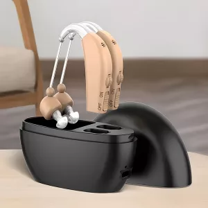 Hörgerät, Hörverstärker, wiederaufladbares Hörgerät, digitales Hörgerät, geräuschreduzierendes Hörgerät