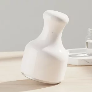 kalter Gesichtsroller, Eis-Gesichtsroller, Eis-Gesichtsmassagegerät